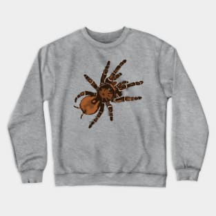 Goliath Bird Eating Spider Crewneck Sweatshirt